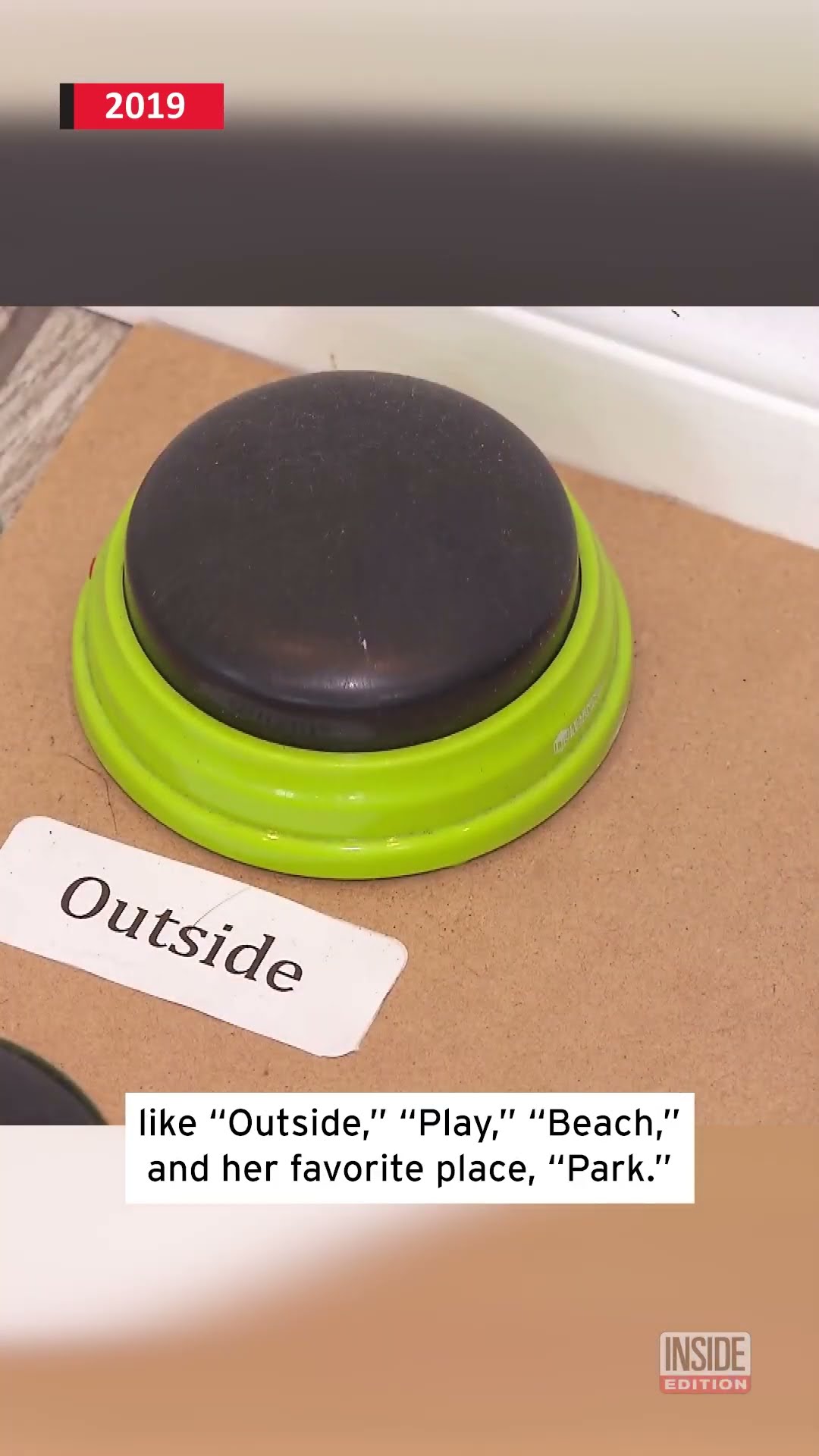 How Dog Learned to 'Talk' #shorts – YouTube