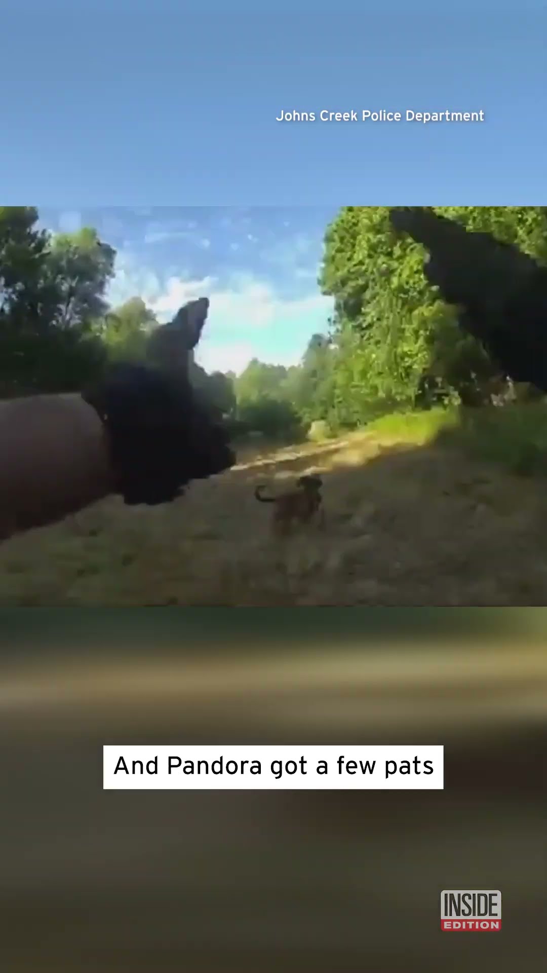 Police K-9 Finds Missing Woman in Under Half an Hour #shorts – YouTube