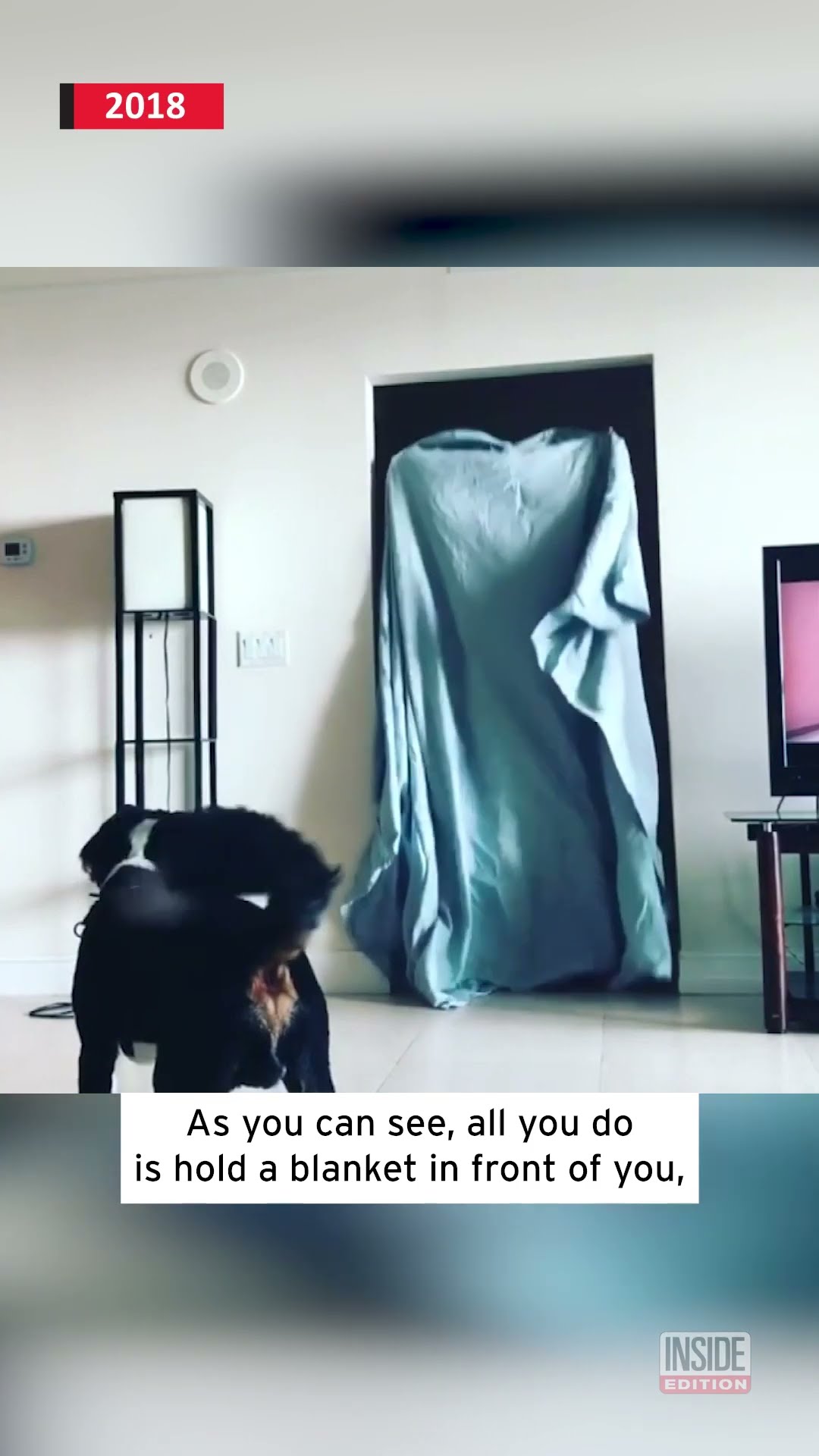 Remember the ‘What the Fluff’ Challenge? #shorts – YouTube