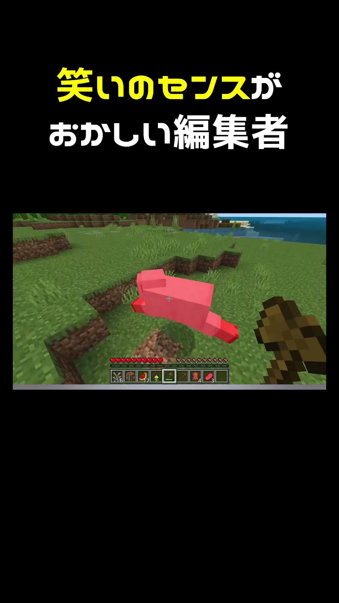編集者が心配になる動画 #shorts – YouTube