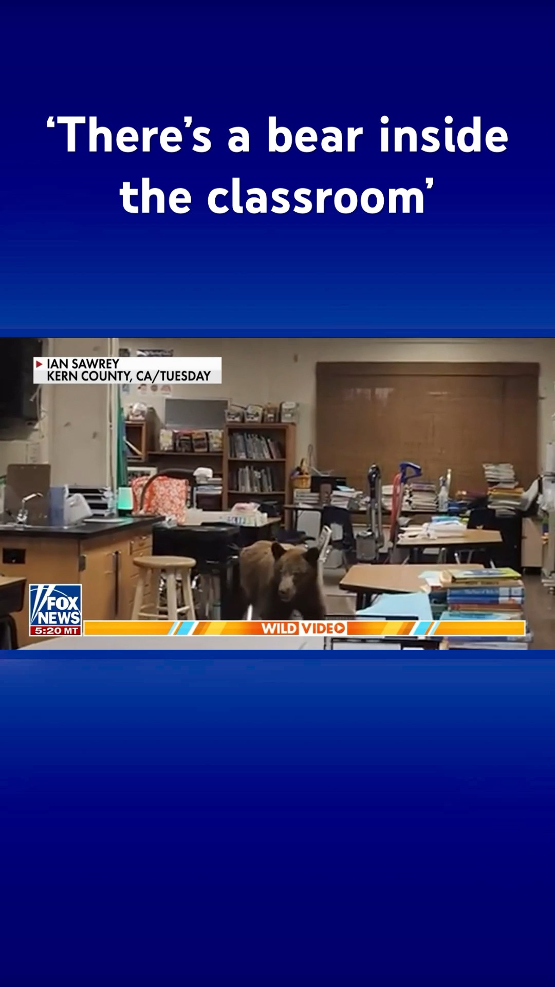 California teacher starts school year off in ‘un-bear-able way’ #shorts – YouTube