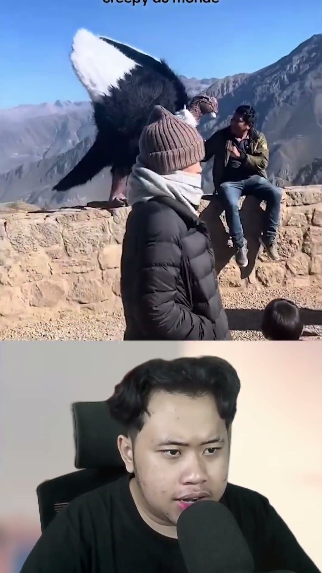 Burung Paling Besar Didunia!! #m4zsda #shortvideos #horrorgaming #hantu #shorts #reaction – YouTube