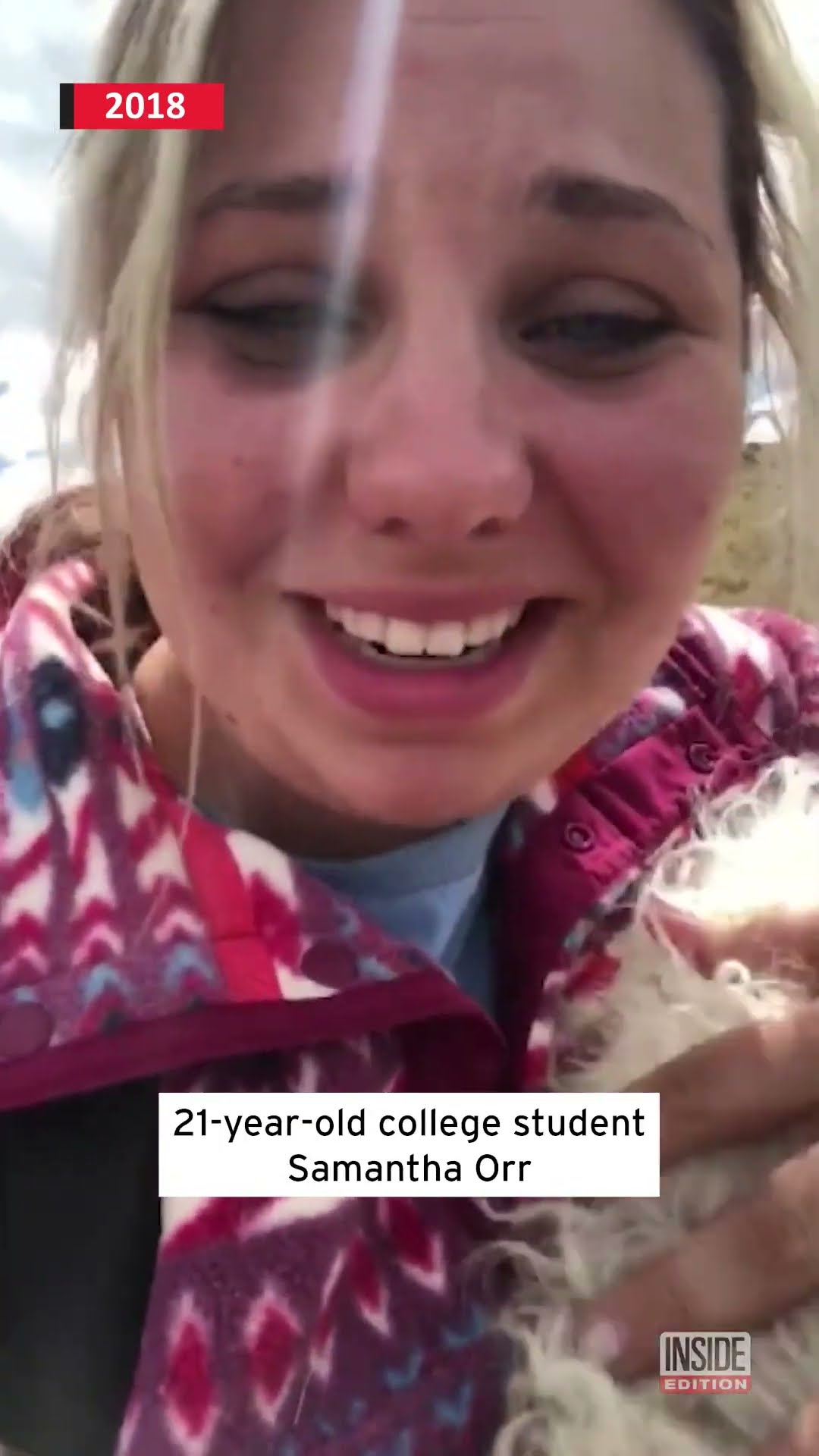 Watch Woman's Heartwarming Reunion With Lost Dog #shorts – YouTube