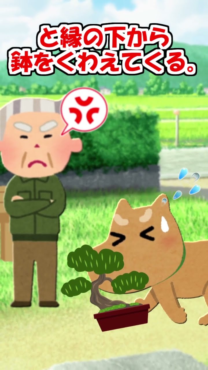 【2ch】爺ちゃんとボーズ(犬)！【アニマル】 #Shorts – YouTube