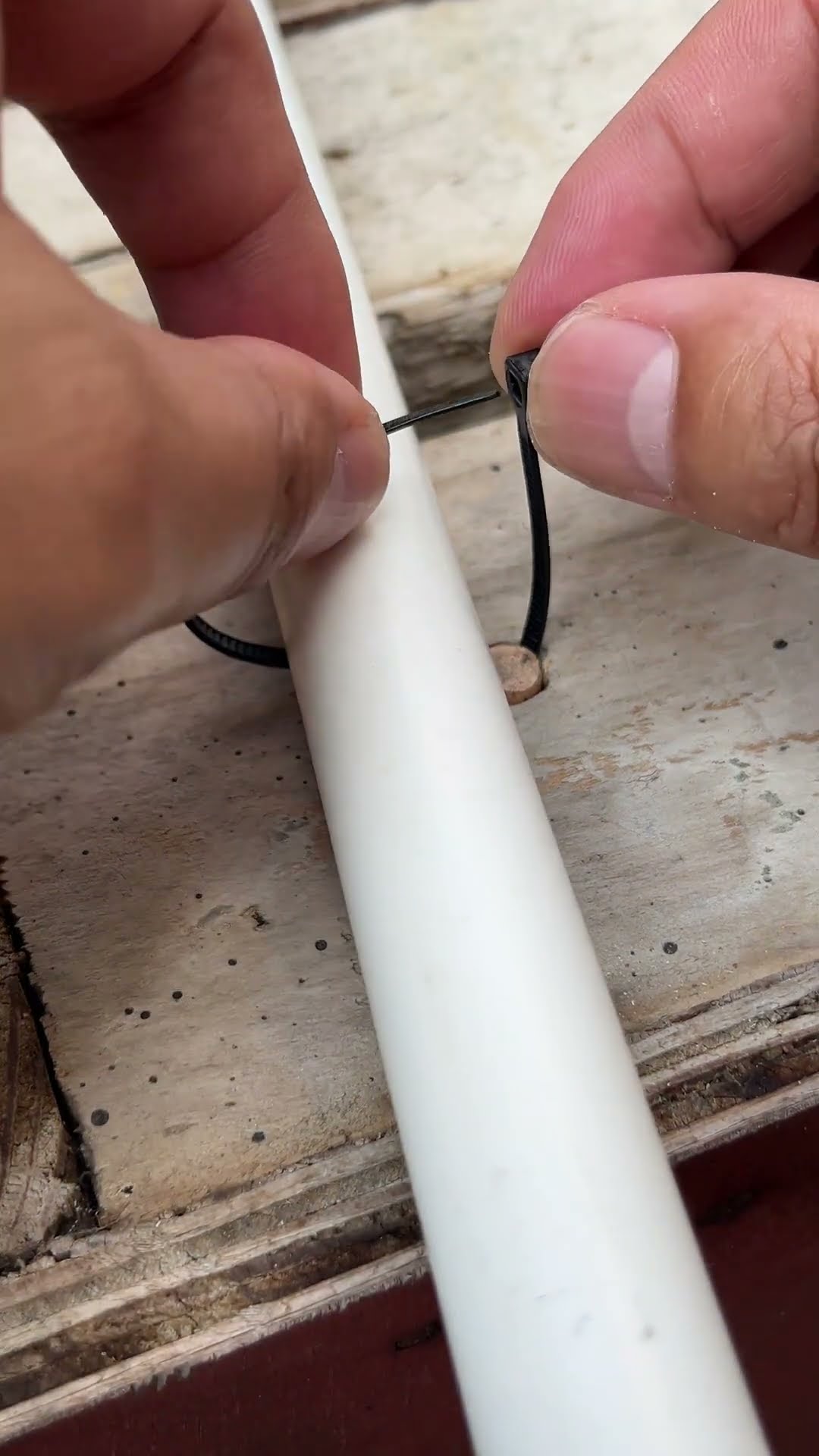 Genius Idea #knots #tips #shorts – YouTube
