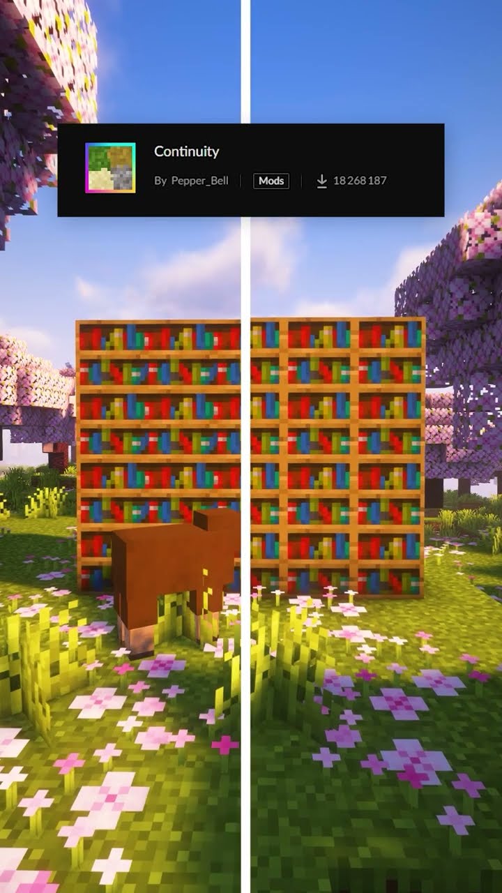 BEST Texture Pack And Mod: Continuity Minecraft #shorts – YouTube