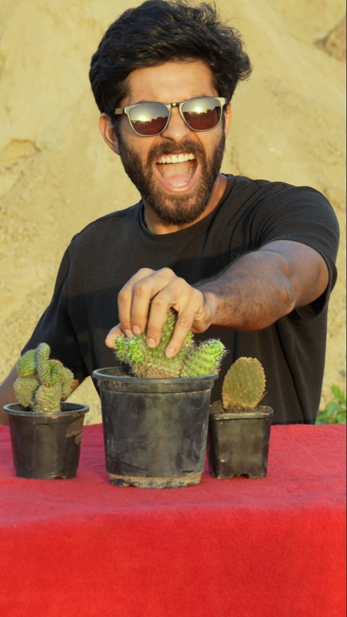 Cactus Spikes Attack #shorts #bluebox – YouTube