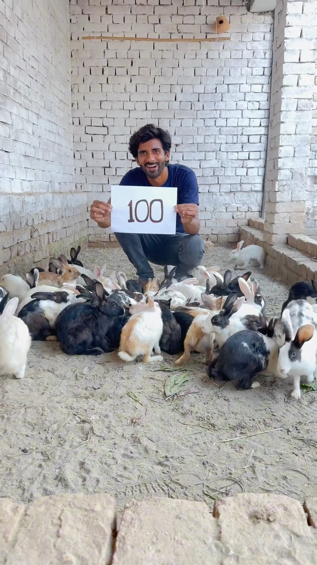 100 Rabbits P-2 #shorts #shortvideo #viral #rabbit #rescue #100kaamhain – YouTube