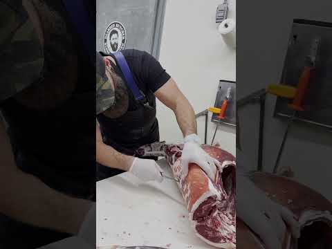 Removing the Deer Backstrap 🦌🔪 #shorts – YouTube