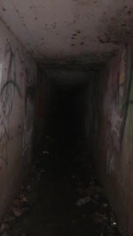 Tunnel is alive with CAVE  CRICKETS #shorts # #abandonedexplore #creepy #fyp – YouTube
