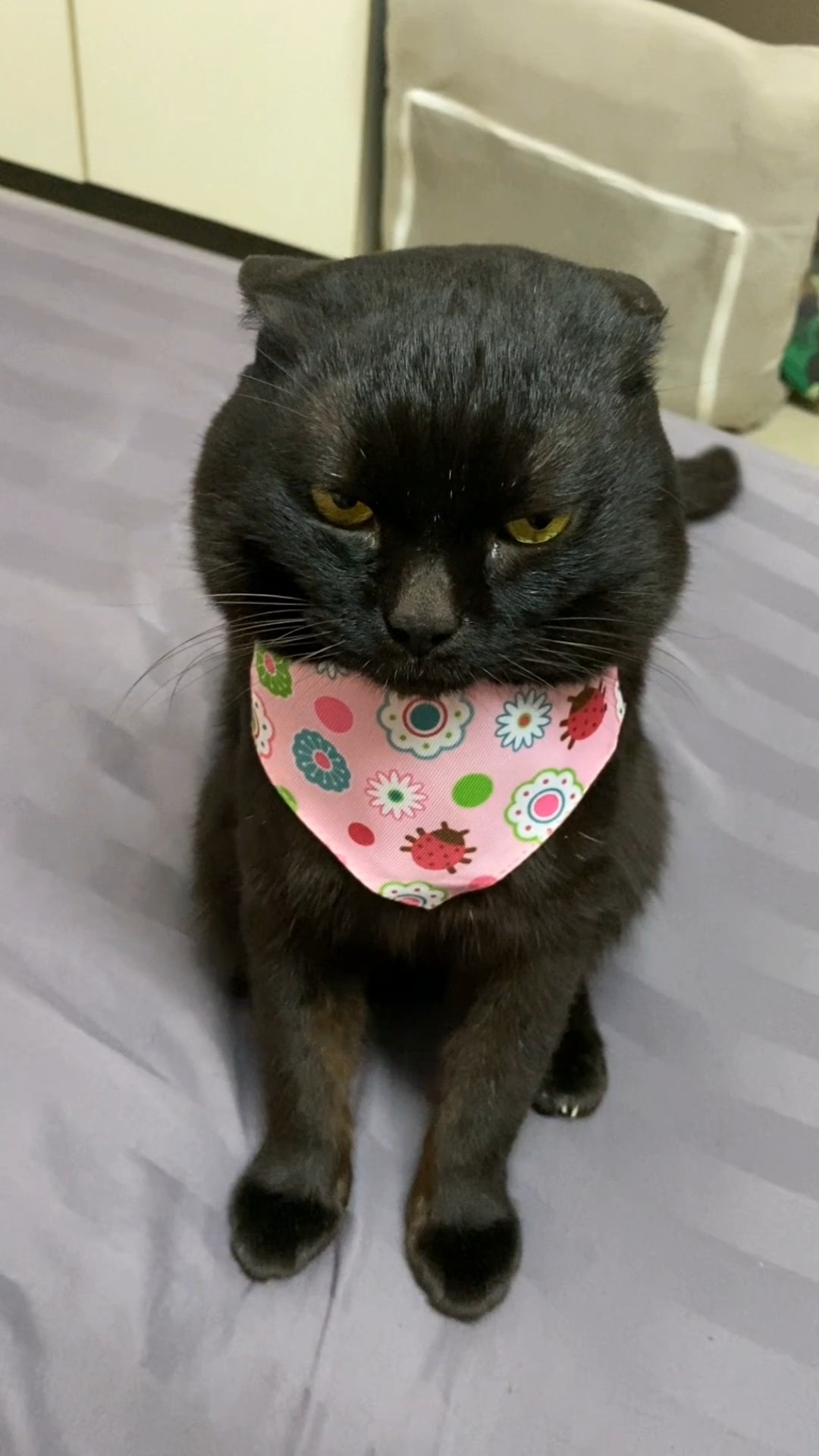 He Is Truly The Fussiest Eater 😂 – YouTube