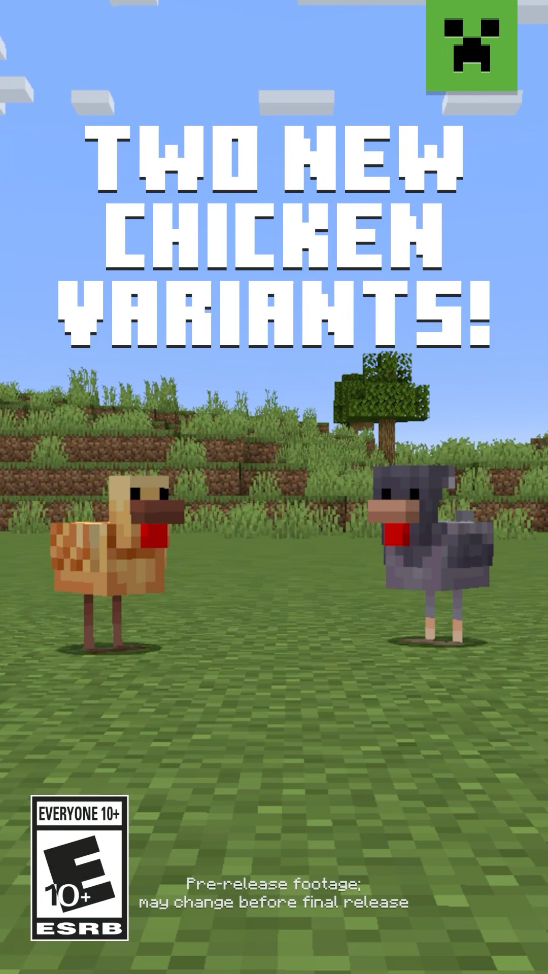 NEW CHICKEN VARIANTS IN MINECRAFT! – YouTube