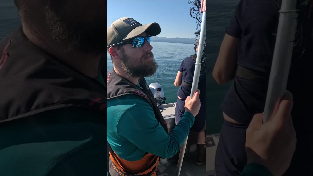 Life is Good! #humpbackwhale #salmon #fishing #juneau #alaska #shorts – YouTube