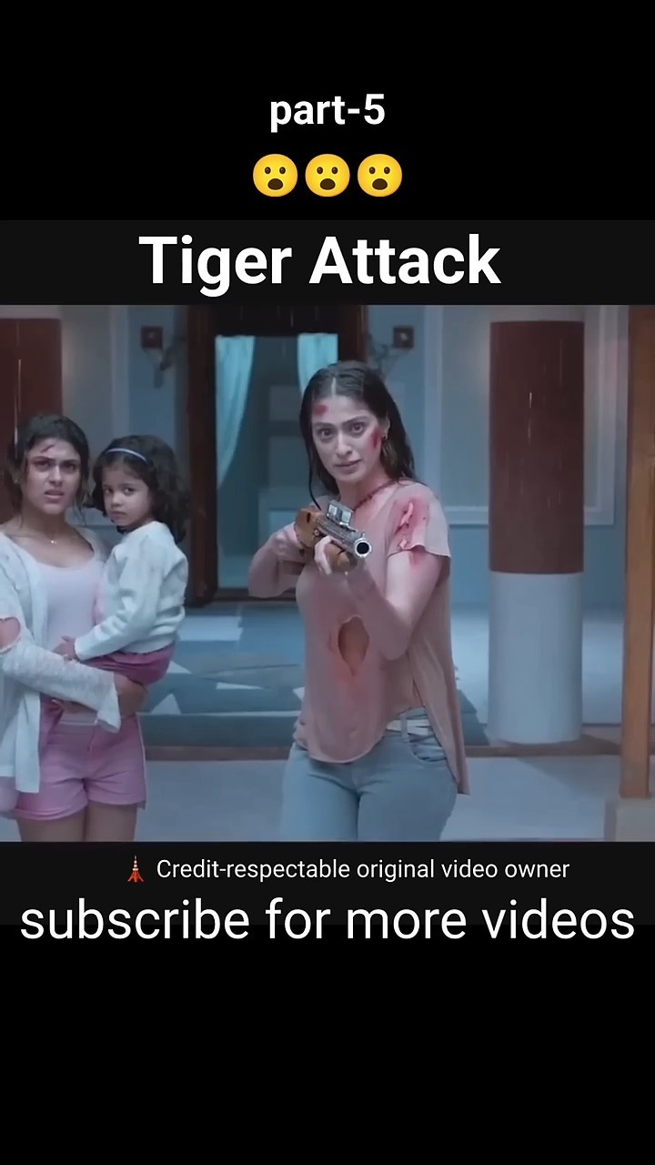 Tiger Attack part-5 #shorts #shortsfeed #ytshorts #trending #tigerattack #tiger #movieexplaininhindi – YouTube