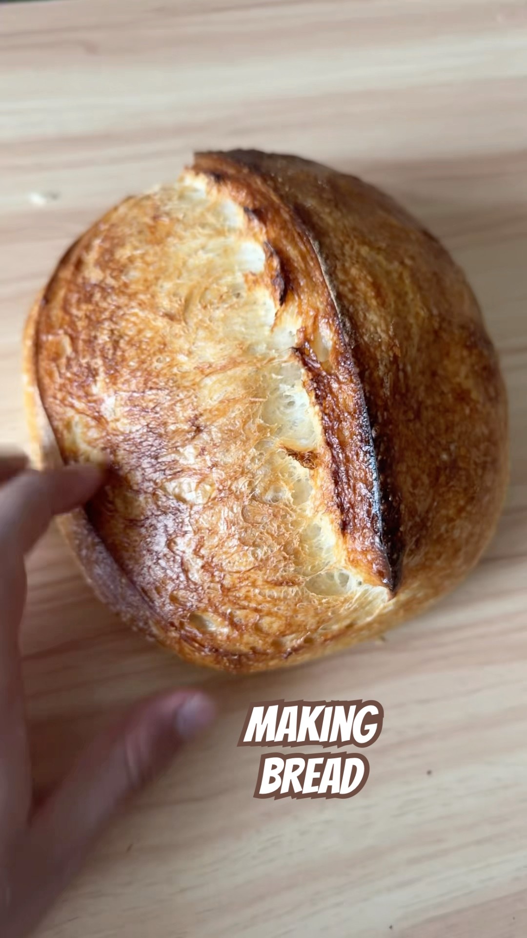 Sourdough bread no tools ! #shorts – YouTube