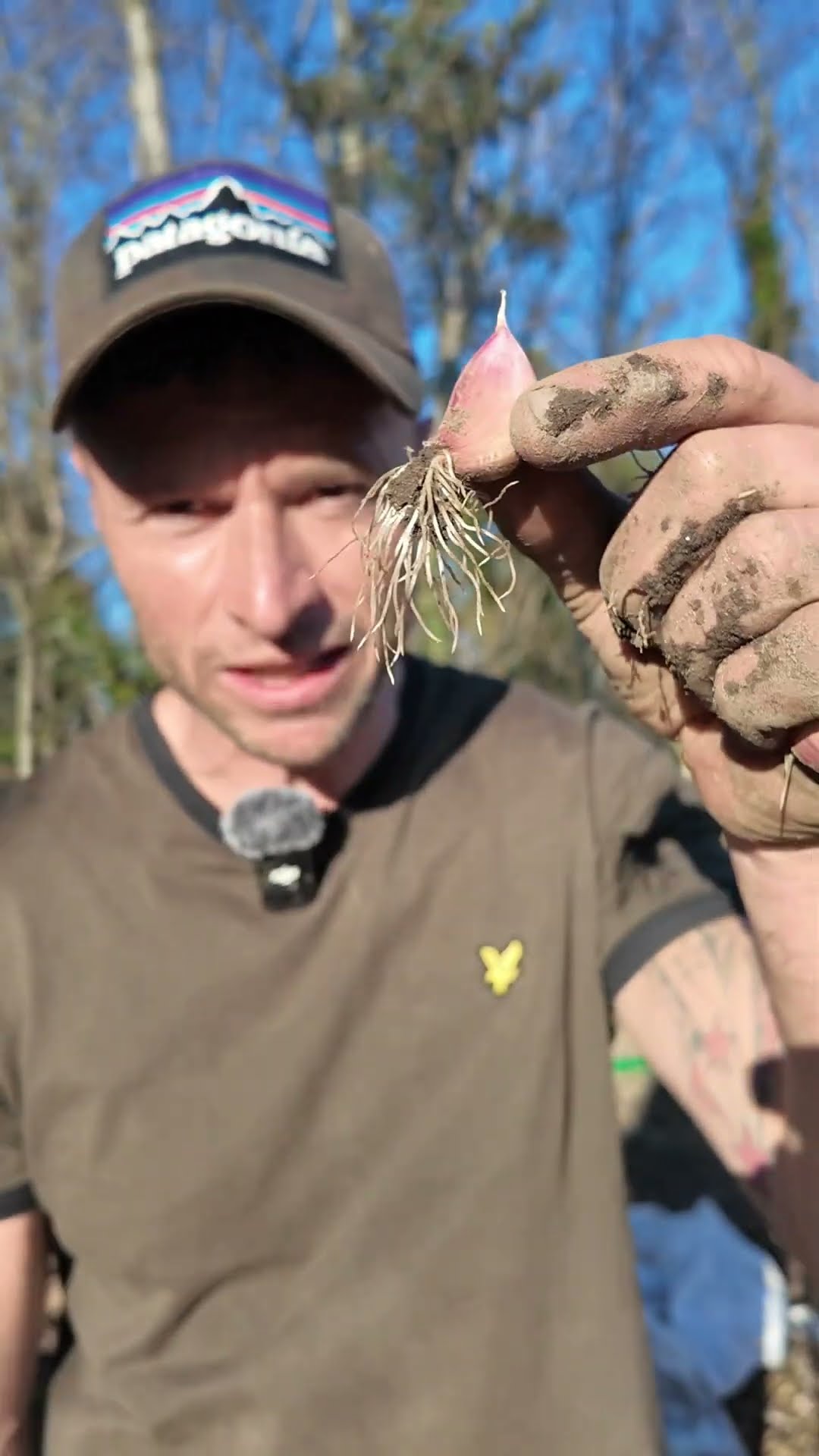 Warum sieht mein Knoblauch so aus? #shorts – YouTube
