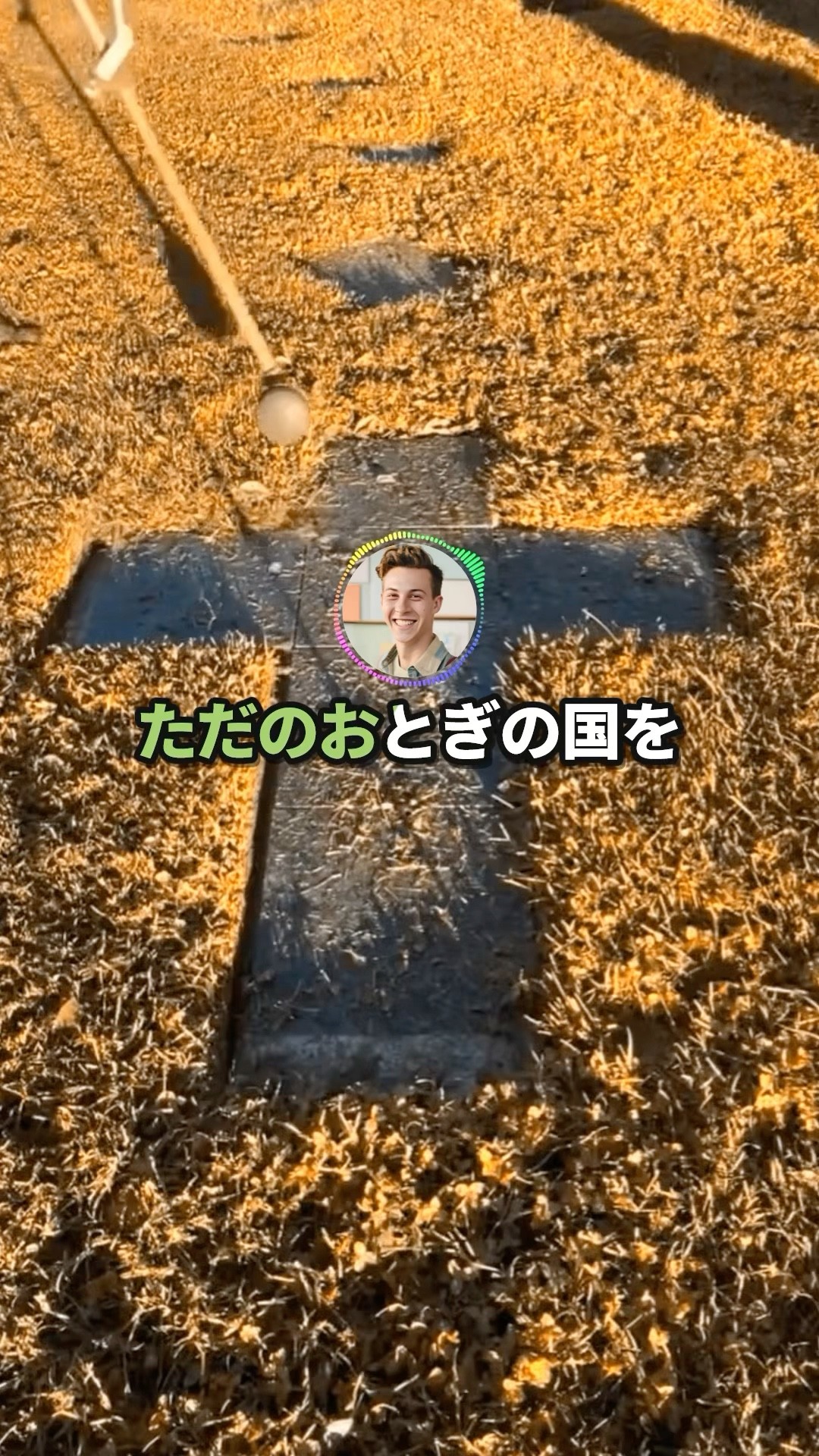 【2ch】彡(ﾟ)(ﾟ)「京都はダサい、ヨーロッパにはノスタルジーを感じる」→なんJの策士に騙されるｗｗｗ – YouTube