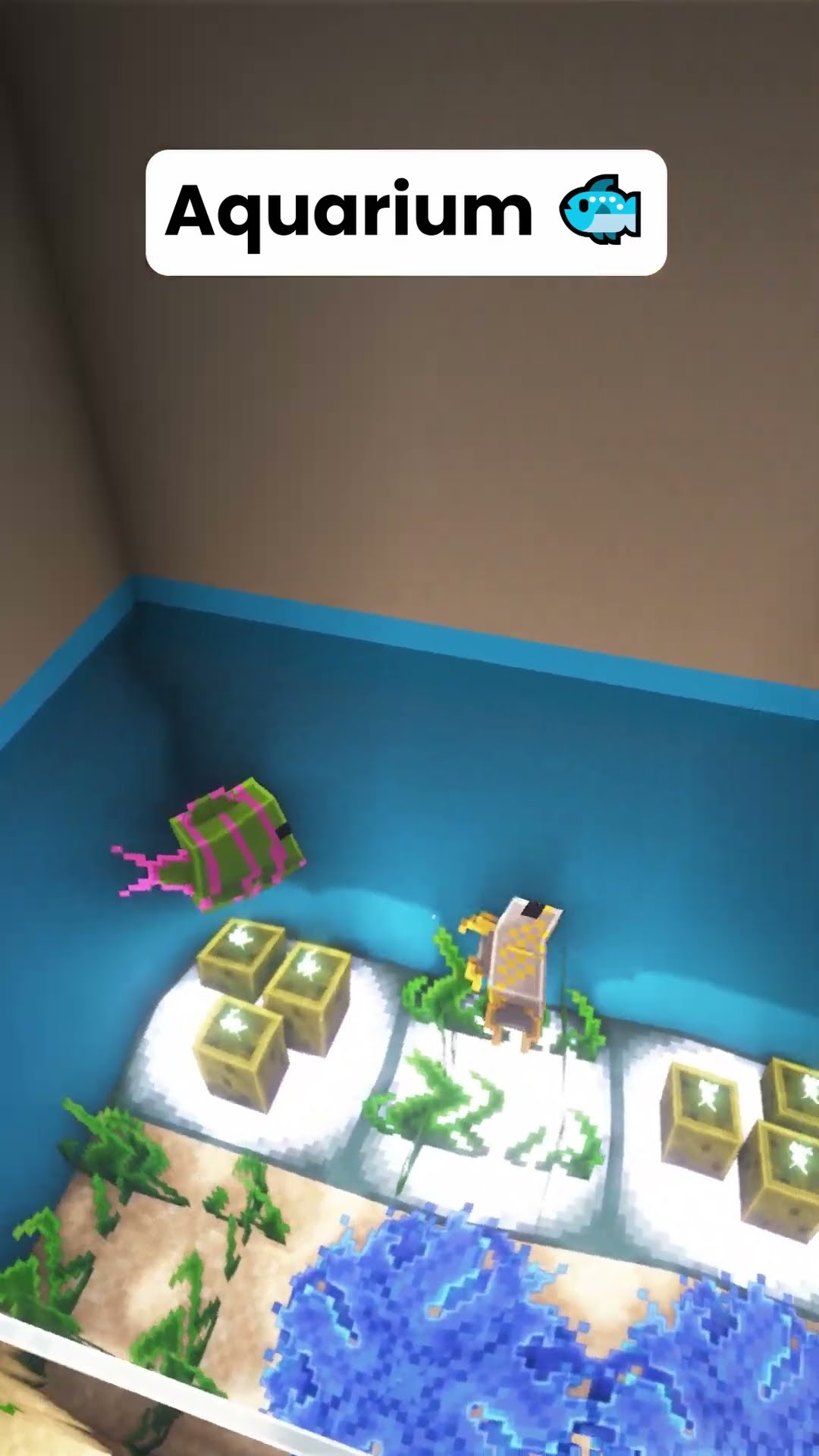 Minecraft Aquarium 🐟 #shorts – YouTube
