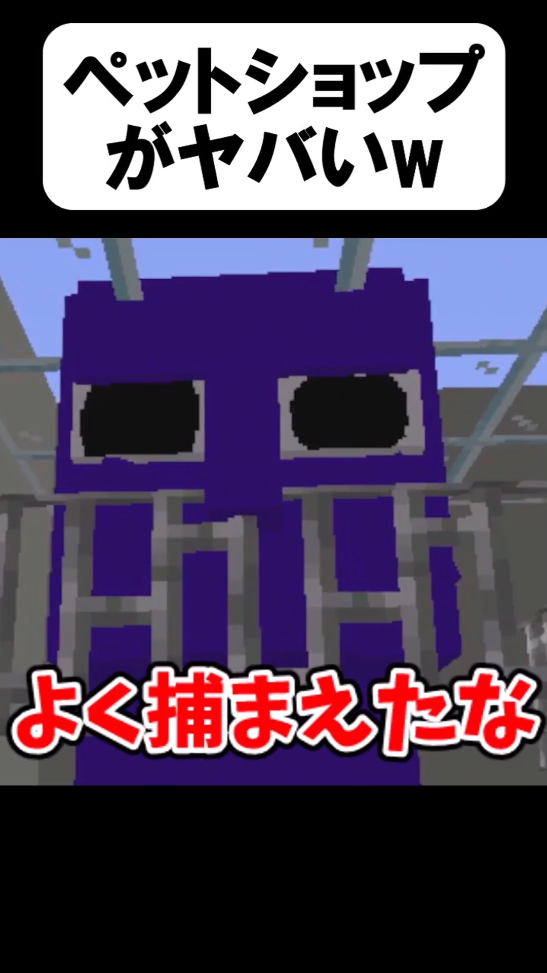 ペットが思ってたのと違う【茶番】#shorts 【マイクラ】【マインクラフト】 – YouTube