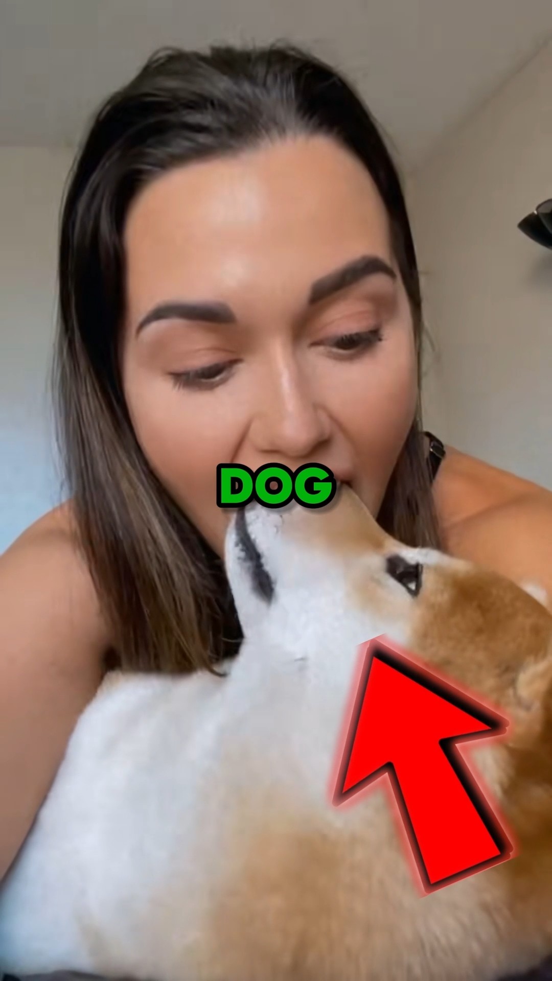 NEVER KISS your DOG 😭 #shorts #dog – YouTube