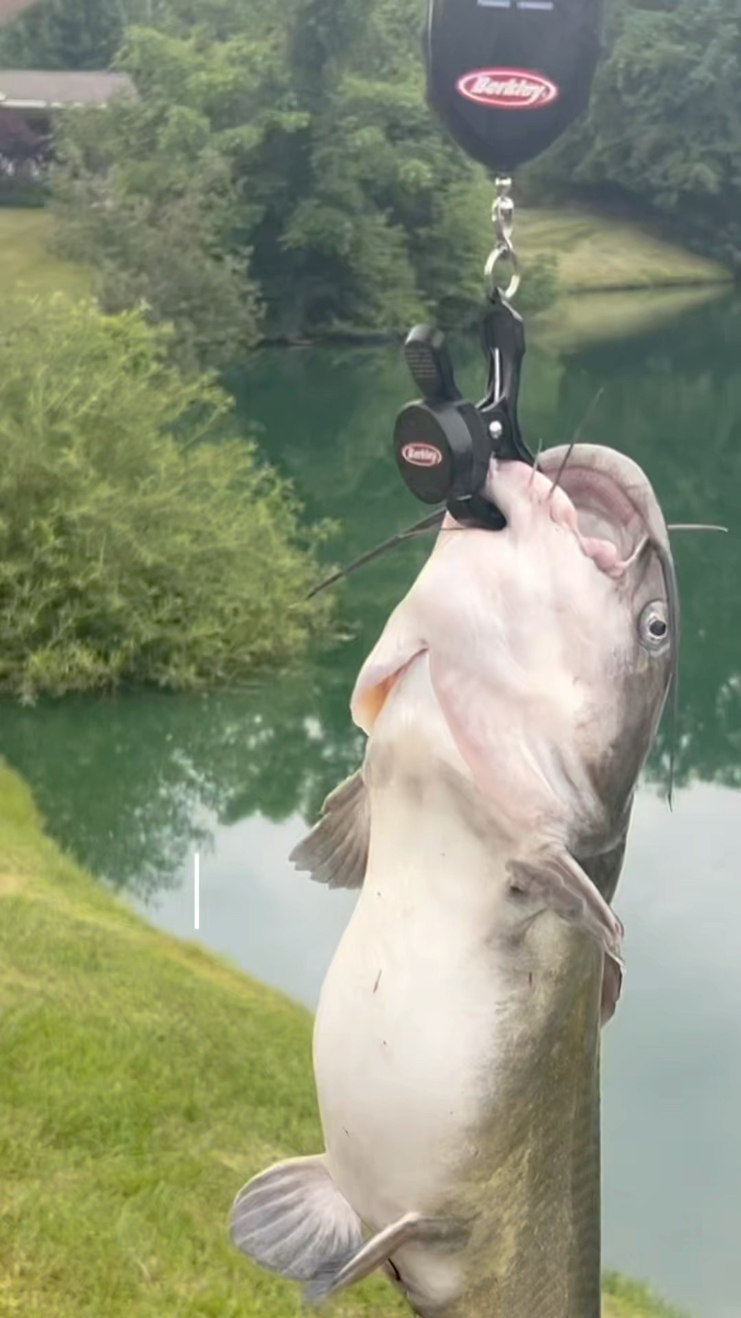 SECRET Catfish Bait Recipe: Tried & True!! #shorts #fishing #catfish #summeronshorts – YouTube