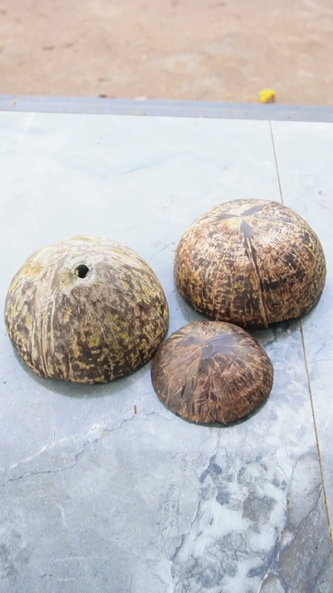 Coconut Tricks 💯🤯 #shorts – YouTube