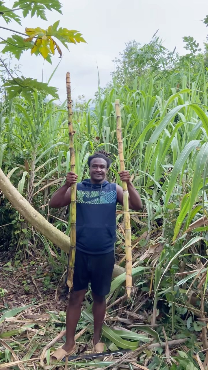 Harvest With Me #shortsfeed #outdoors #shorts – YouTube