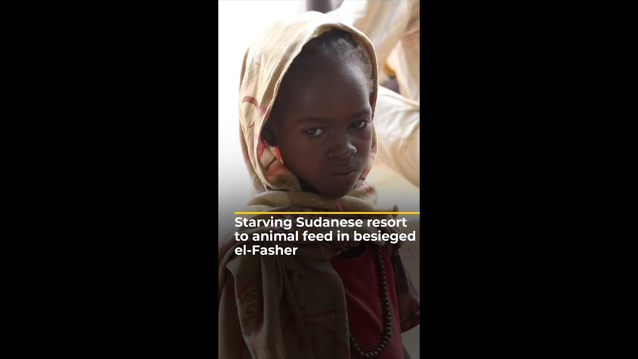 Starving Sudanese resort to animal feed in besieged el-Fasher | AJ #shorts – YouTube