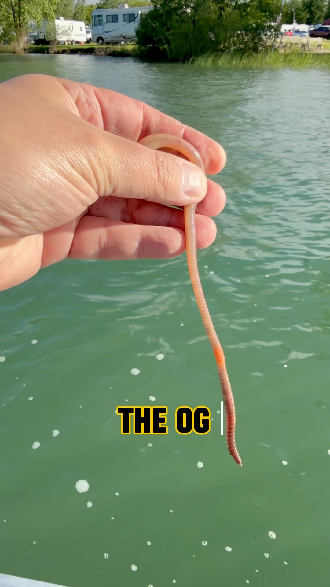 THIS Is The OG Fishing Bait – RESPECT!! 🫡 🎣 #shorts #fishing #fishingbait – YouTube