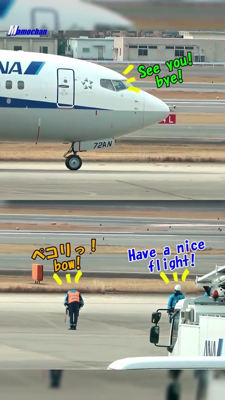 【大阪伊丹空港】身振りで伝える行ってらっしゃーい！ #shorts #Goodbyewave #aviation – YouTube