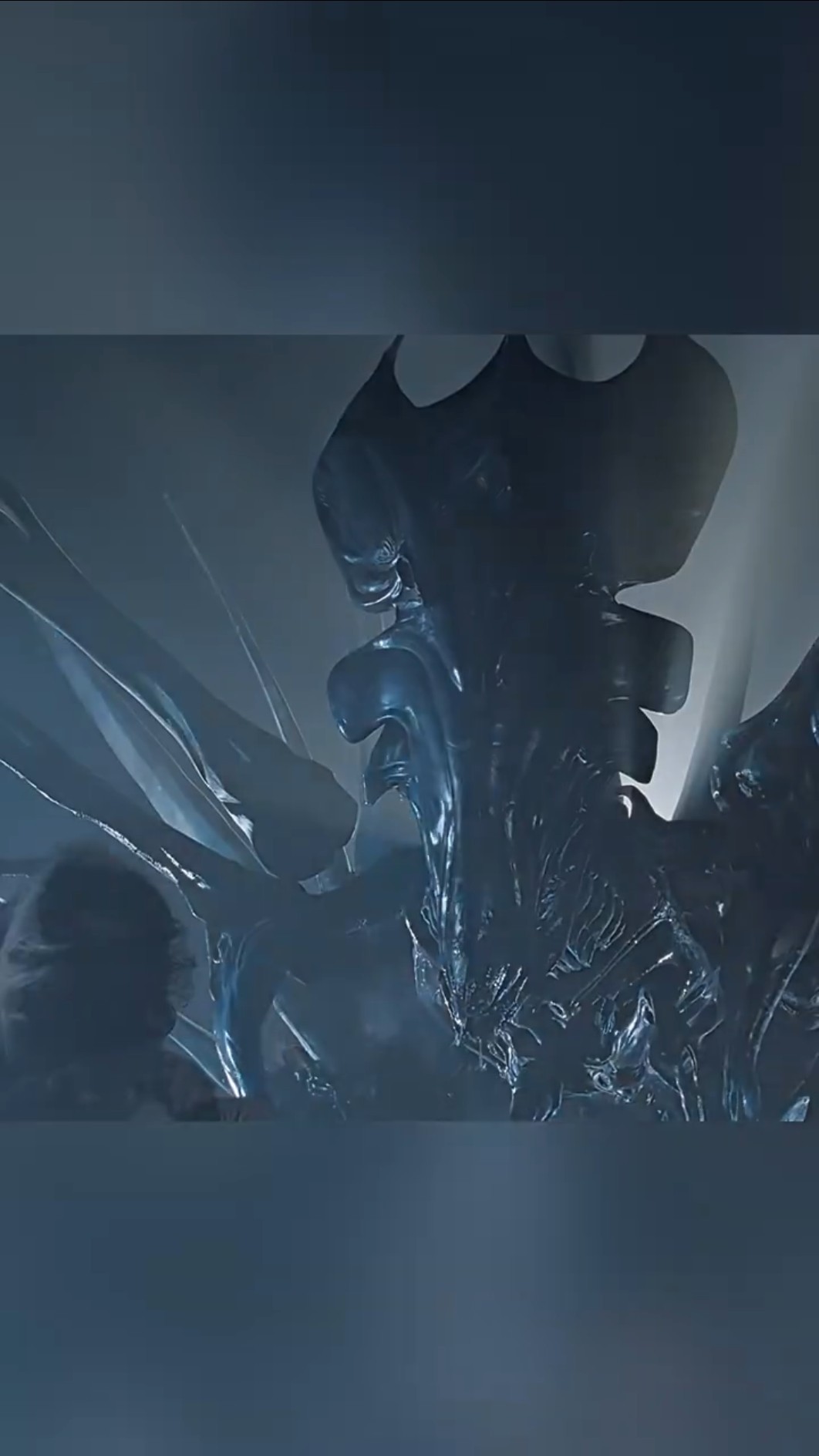 THE XENOMORPHS VS HOMELANDER?! #shorts #memes #theboys – YouTube