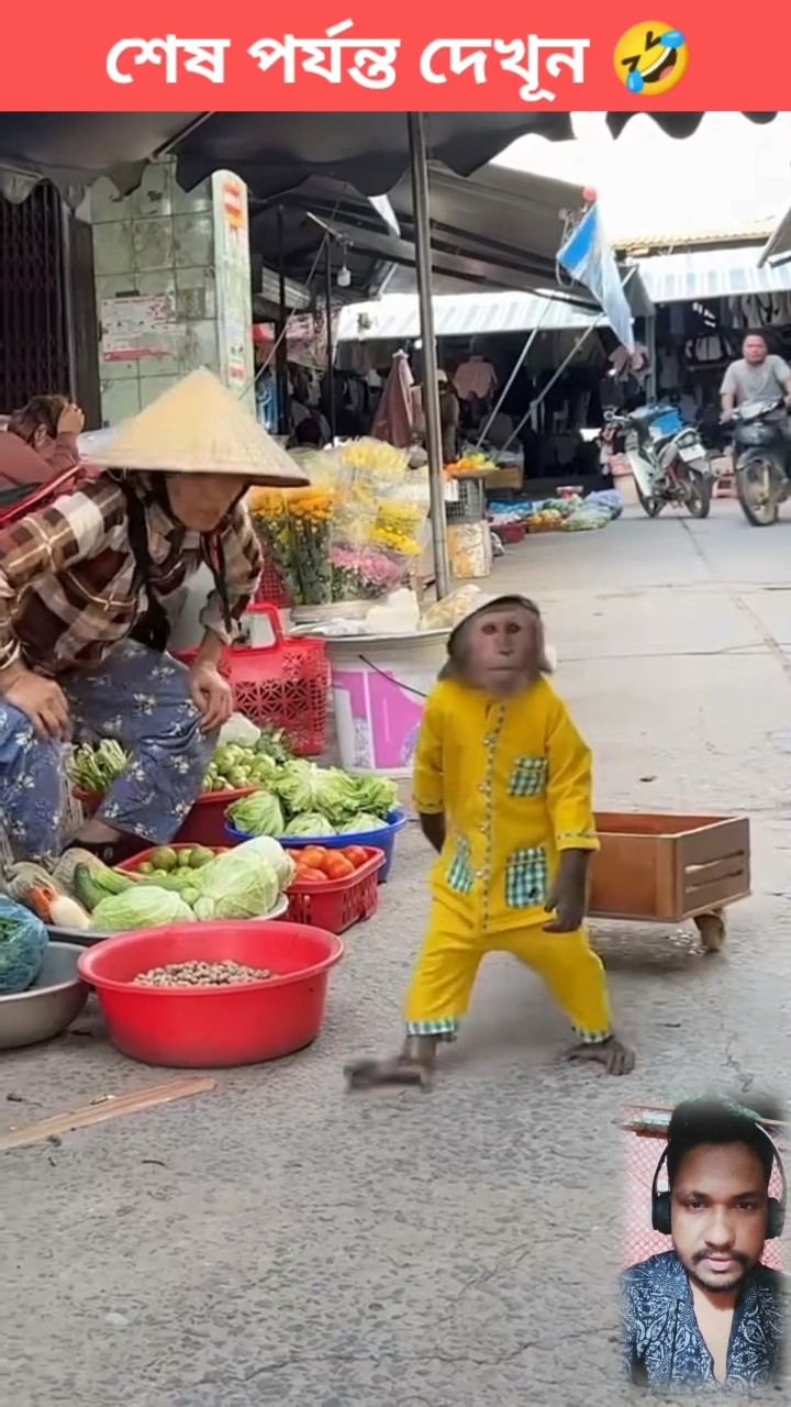🤣 আজকে চিকেন খাবো 🐒🤪 #monkeyfunnyvideo #comedy #shorts – YouTube