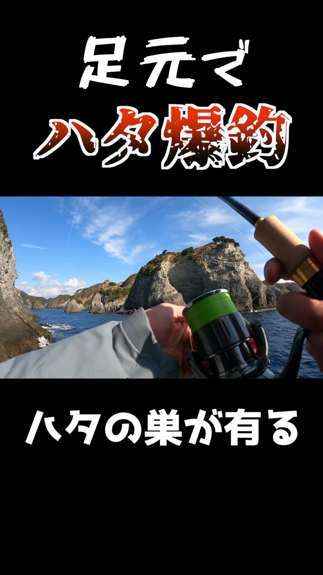 ロックフィッシュの巣 #fishing #ショアジギングロッド #shorts – YouTube