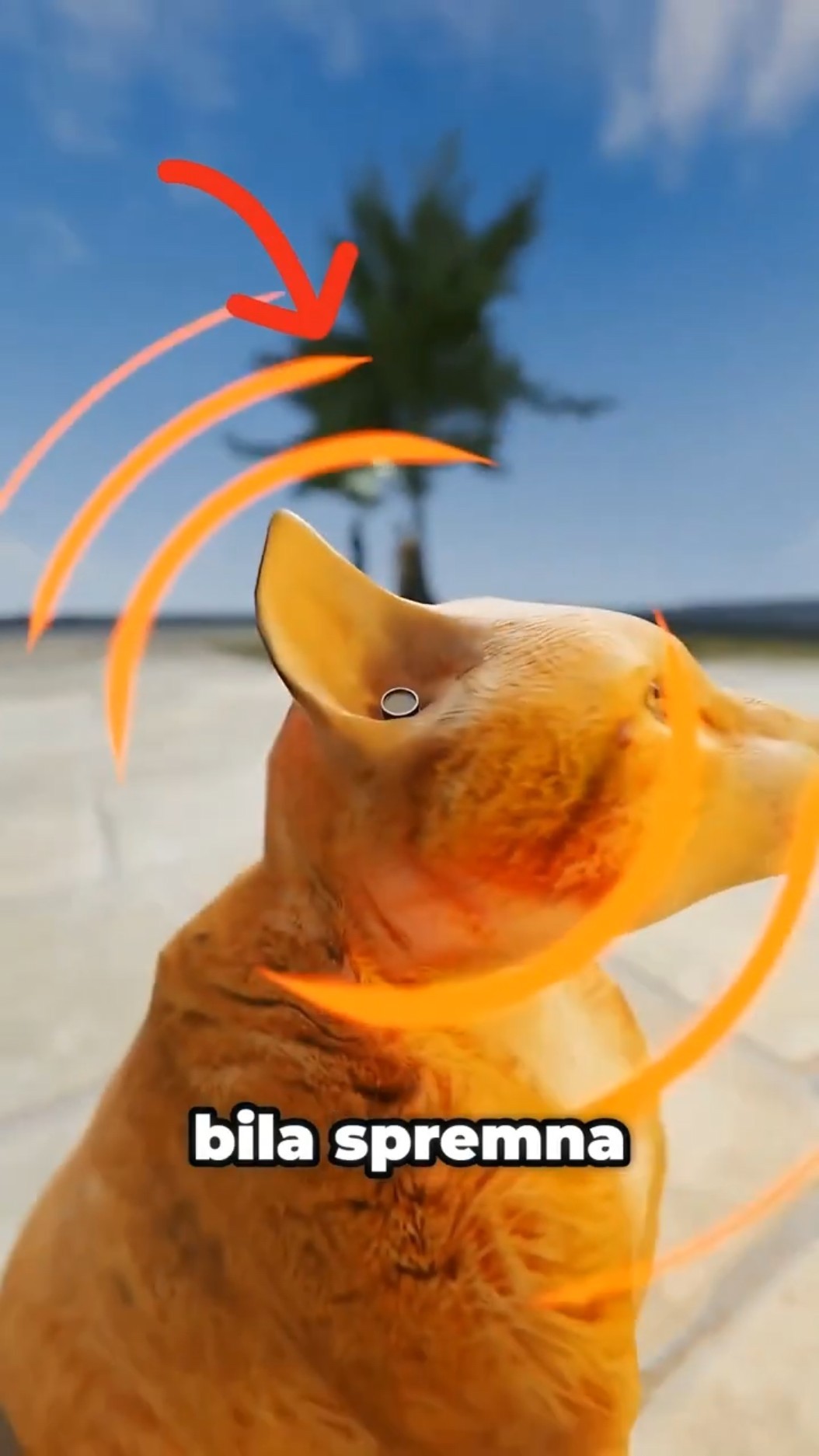 Mačka Obučena Kao Špijun 😮🐈 #shorts #zanimljiveprice #animacije – YouTube