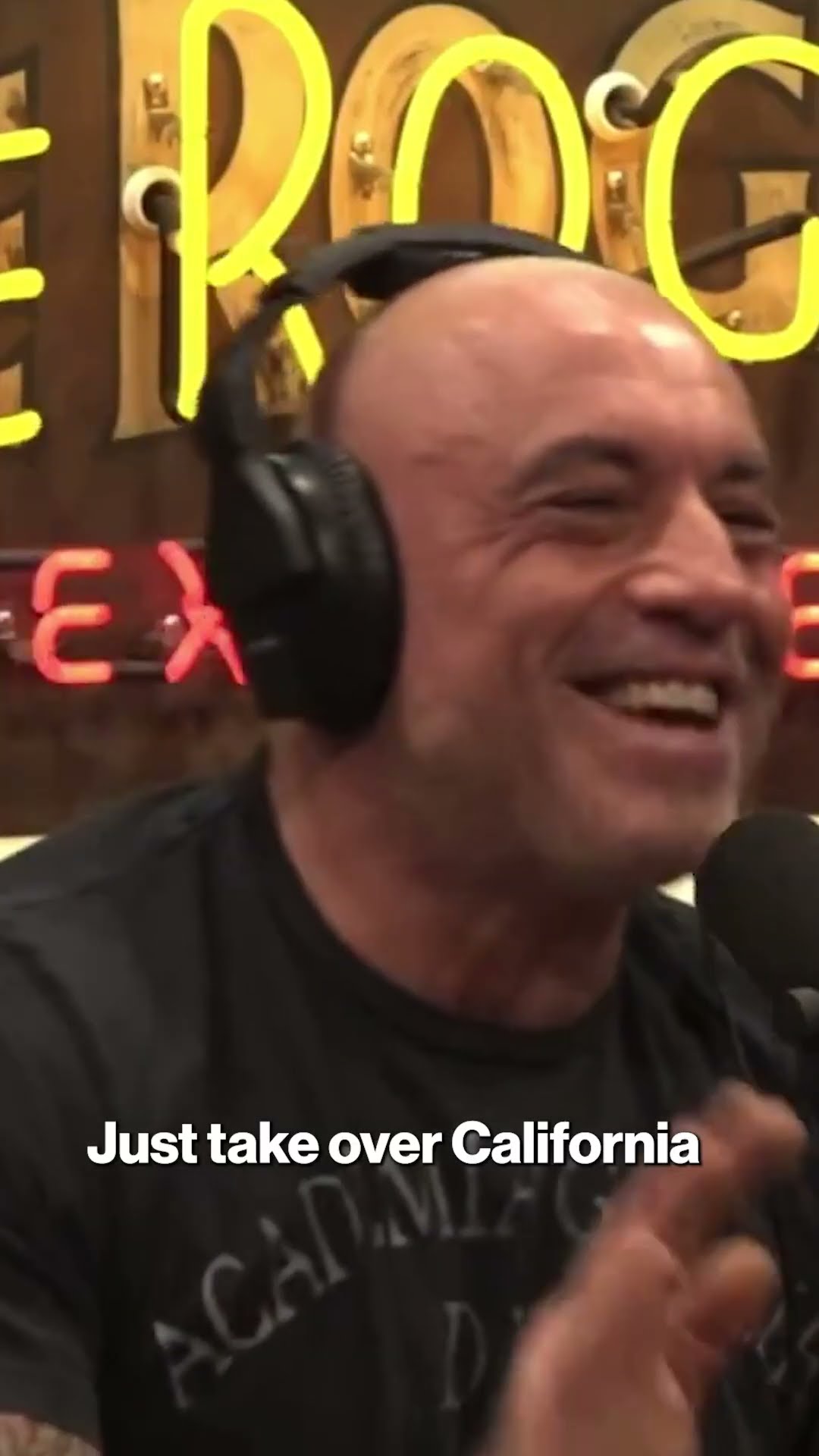 Joe Rogan says Trump should replace Gavin Newsom as California governor #shorts – YouTube