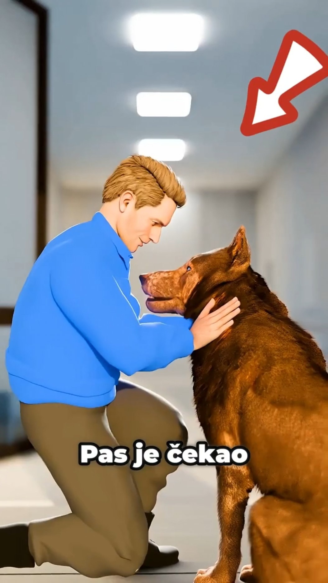 Ovaj Pas Je Čekao Ispred Bolnice 🐶❤️ #shorts #zanimljiveprice #animacije – YouTube