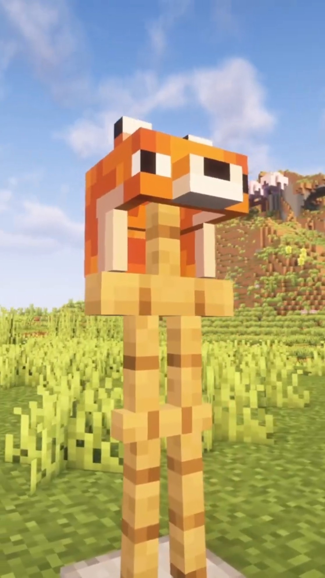Minecraft FOX HELMET #minecraft #shorts – YouTube