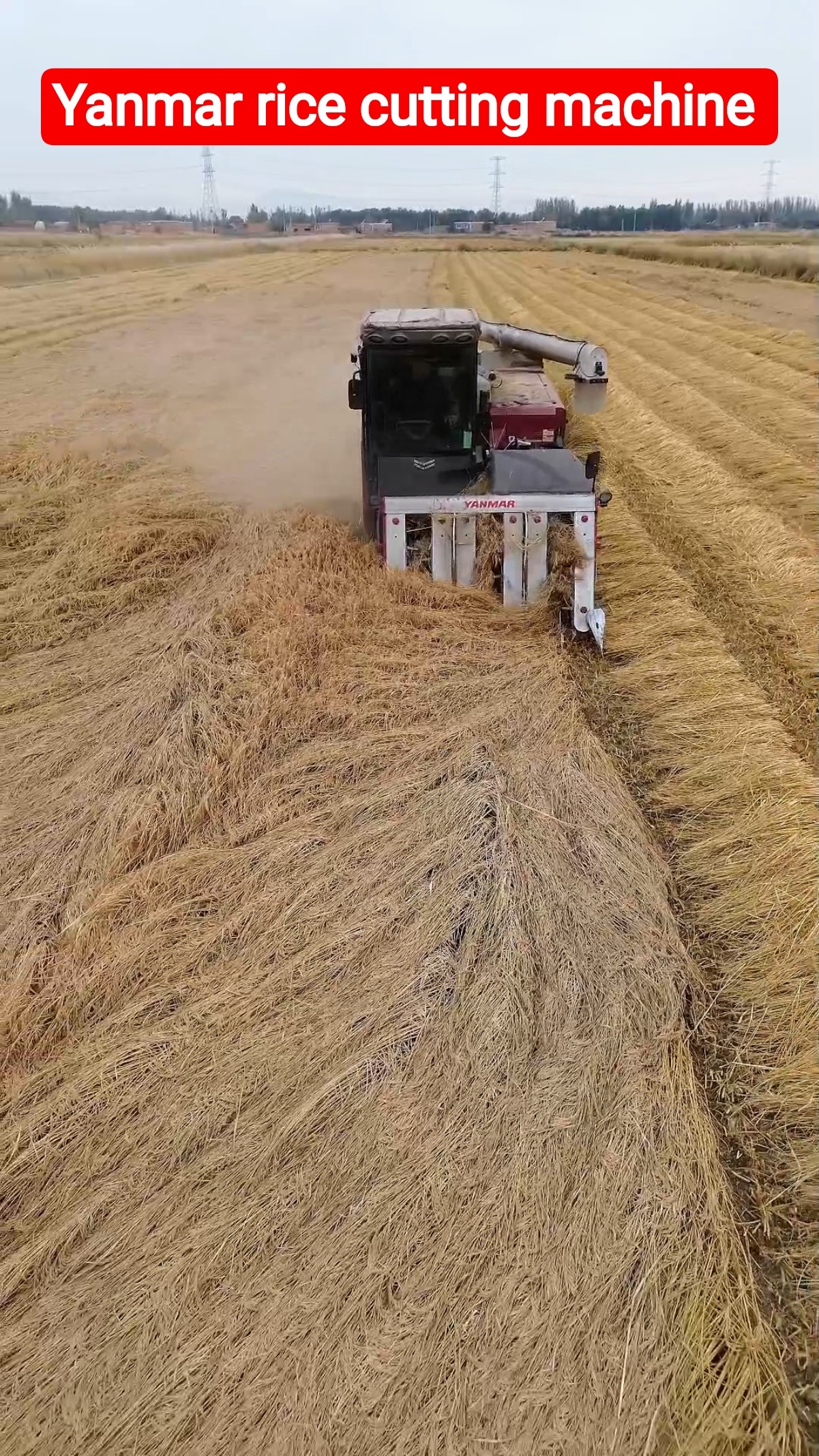 Yanmar rice cutting machine 😛 #shorts #yanmar #agriculture – YouTube