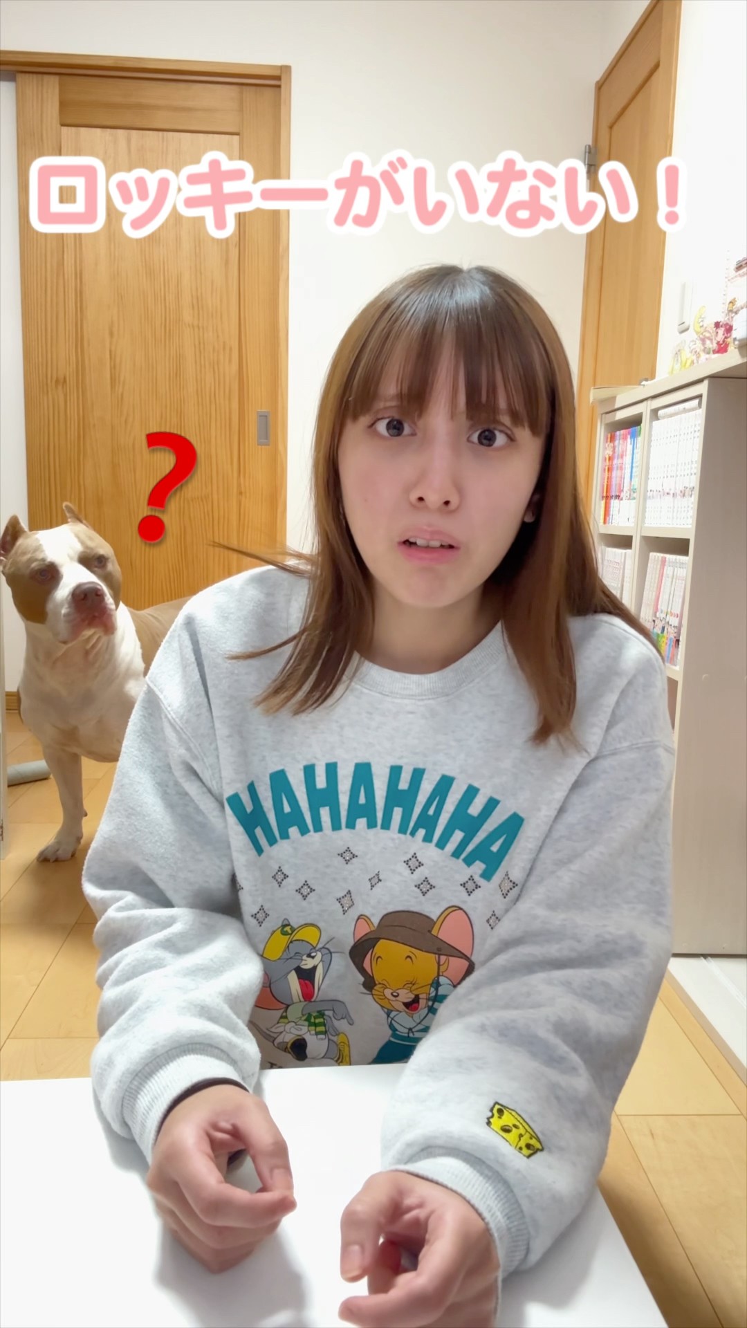 ピットブルを無視したら、、。ロッキーの反応が笑【アメリカンピットブル】#shorts – YouTube