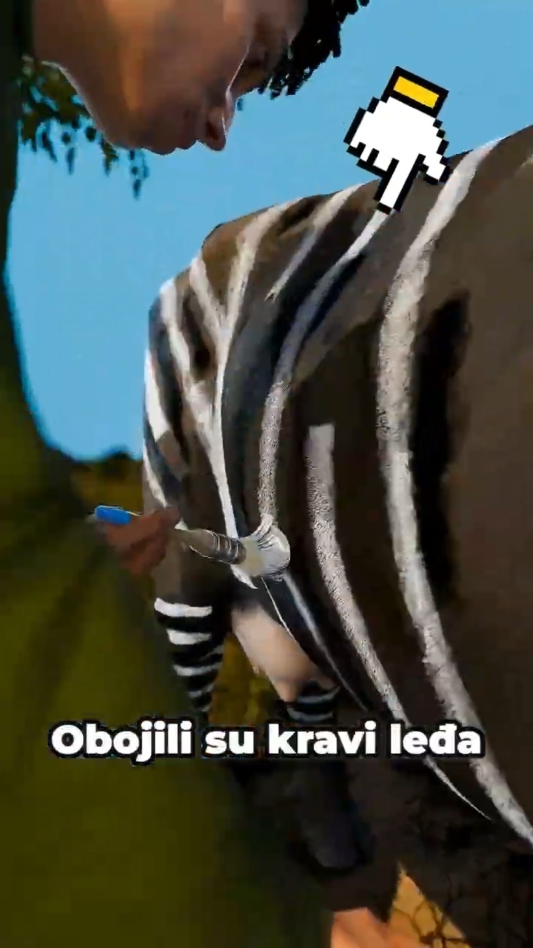 Zašto Su Krave Farbane Kao Zebre 🤔🐄 #shorts #zanimljiveprice #animacije – YouTube