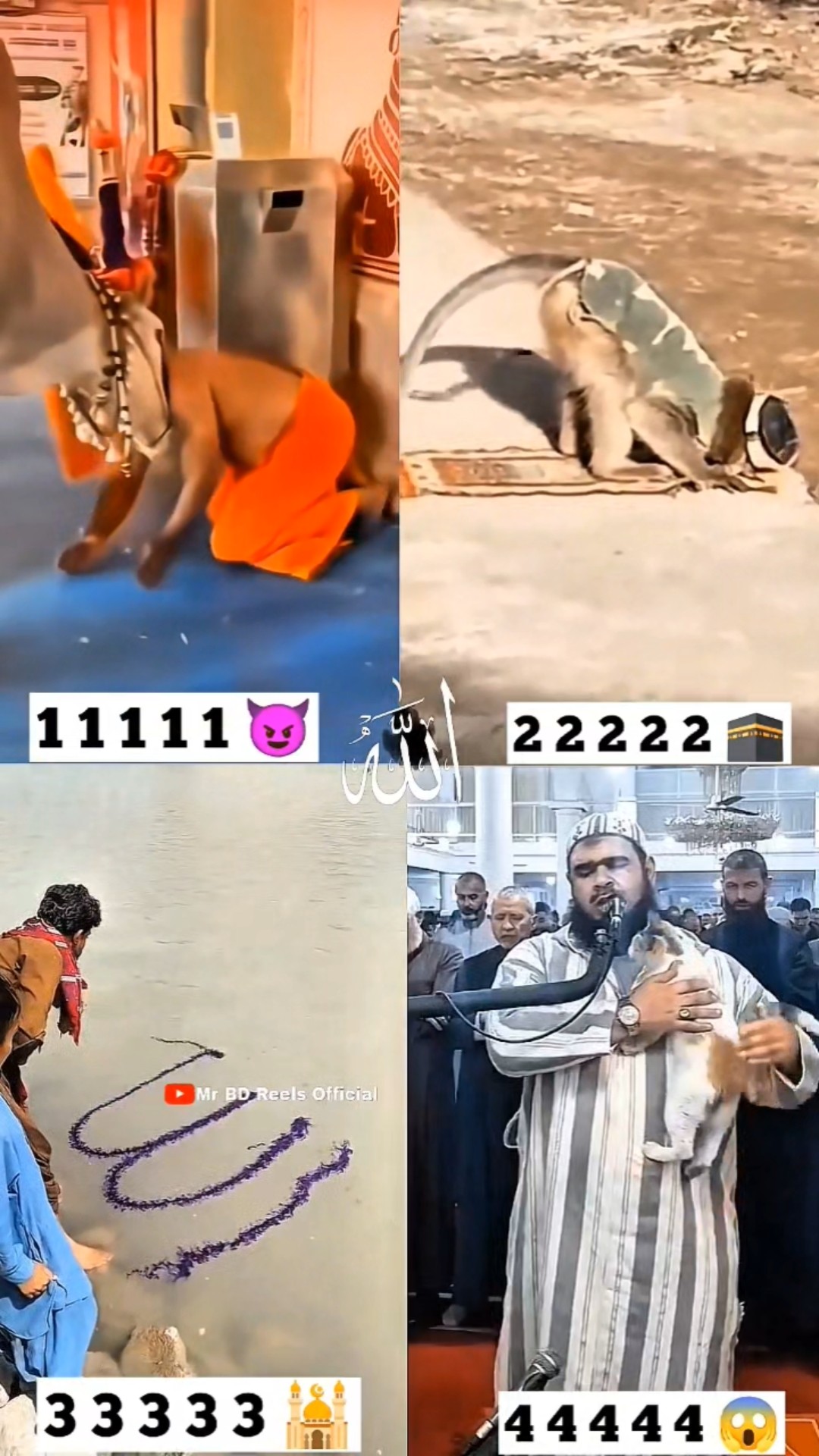 POWER OF ISLAM ! 🕋 #allah #shorts #prayer #foryou #trending #shortvideo #islam – YouTube