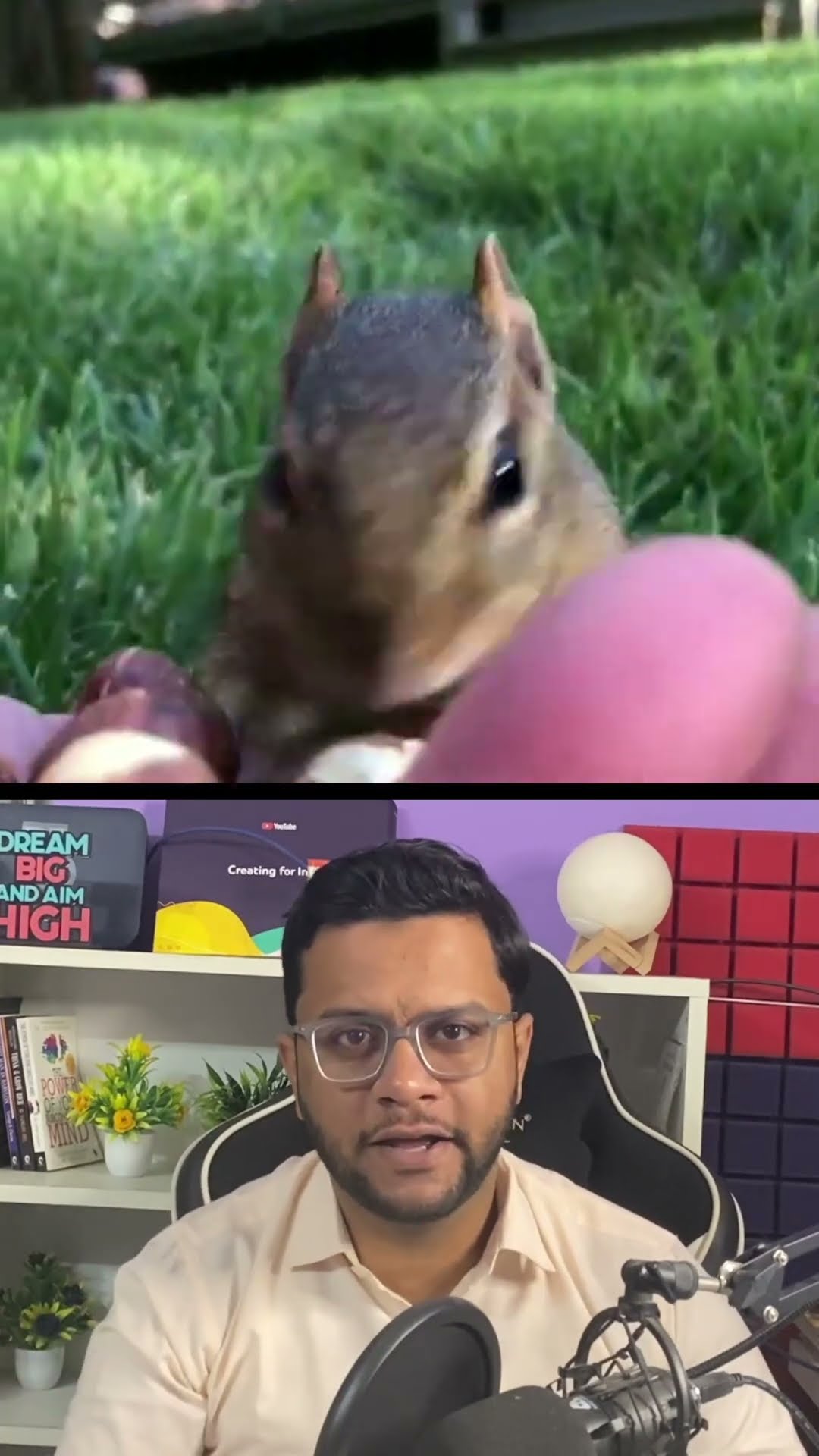 Billionaire Squirrel #shorts – YouTube