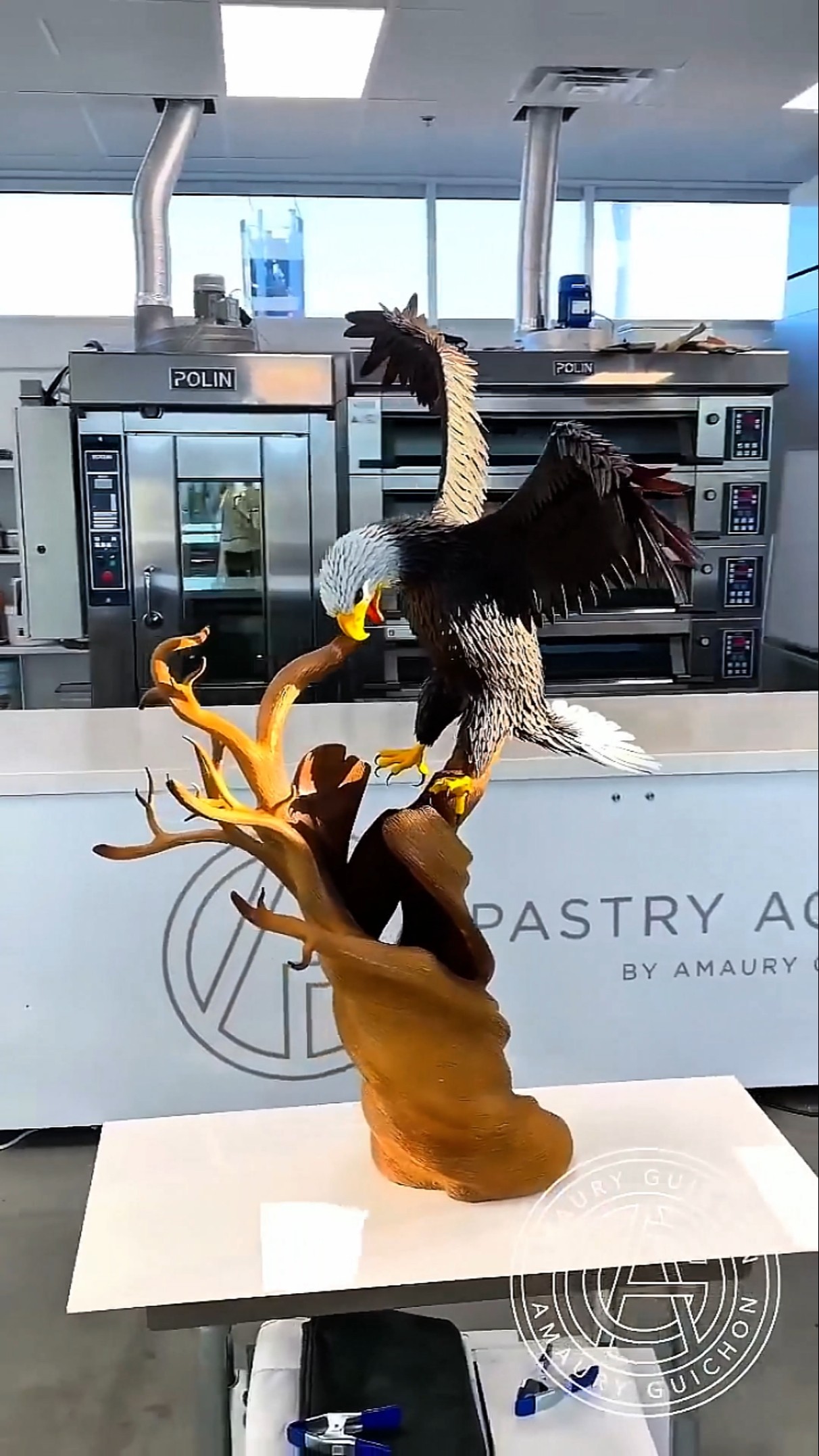 Making Chocolate Eagle 🦅|| Wait for last look 😍🔥|| #shorts #viral #youtubeshorts – YouTube
