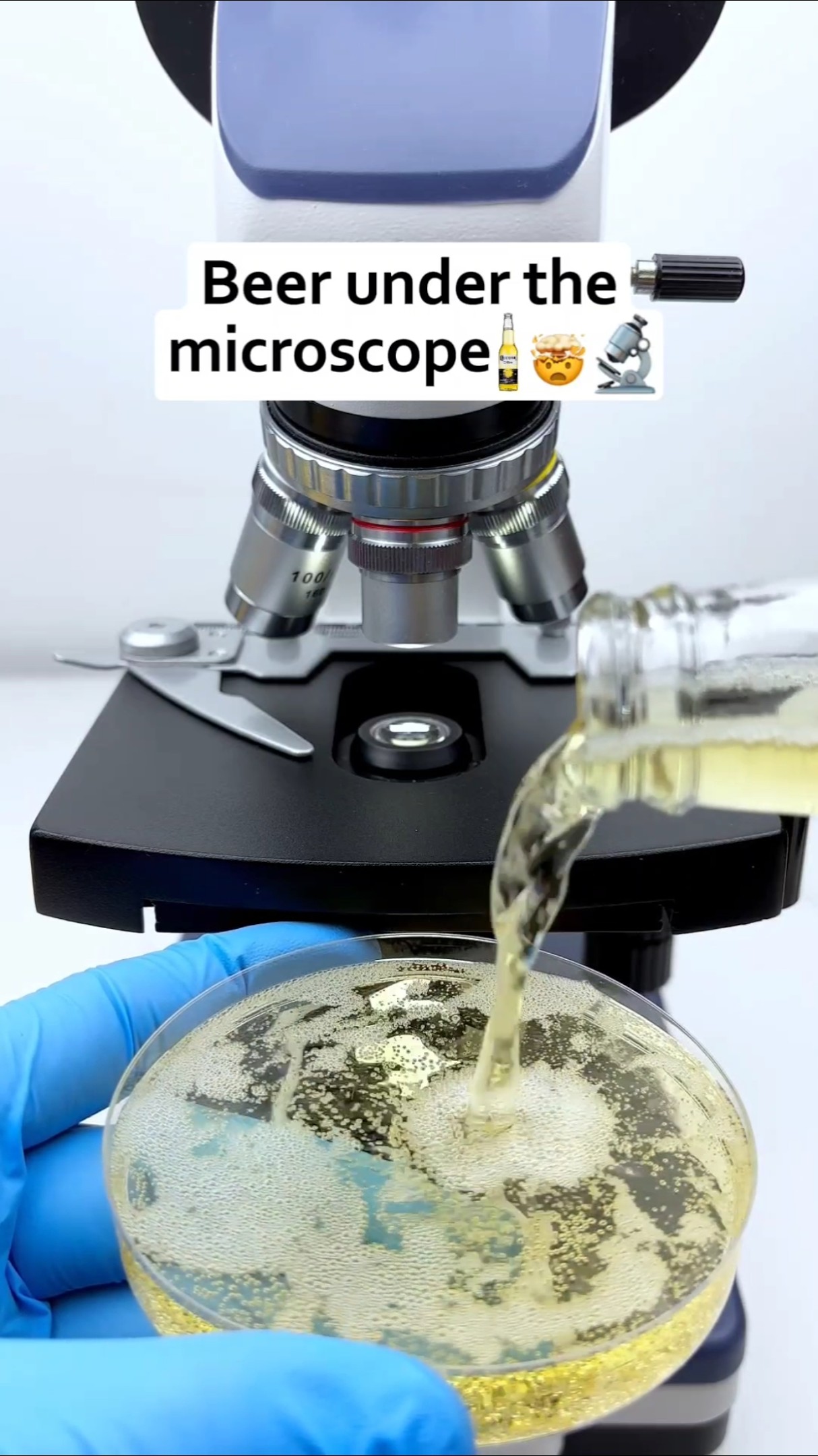 दारू under the microscope 😱🔬 #shorts #microscope #beer #facts #amazingfacts #millionviews – YouTube
