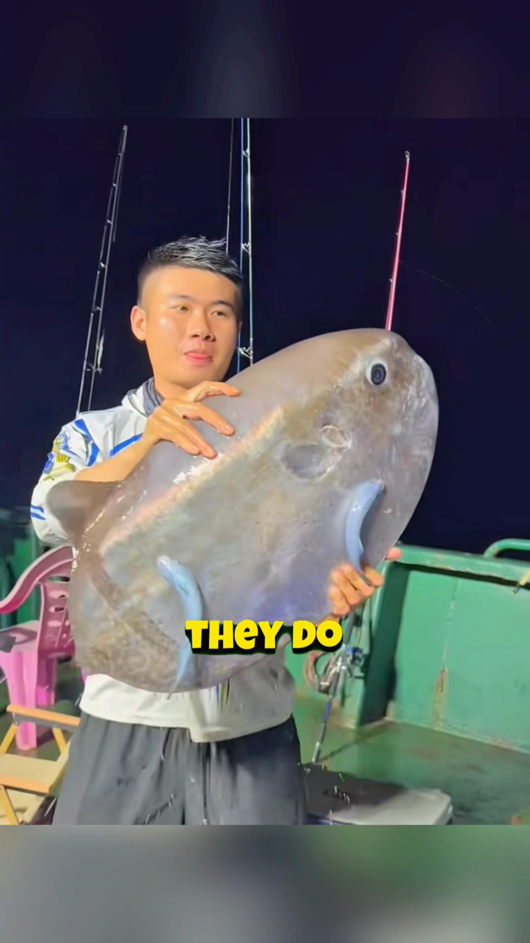 This Fish Is Trash Of Sea !! #shorts – YouTube