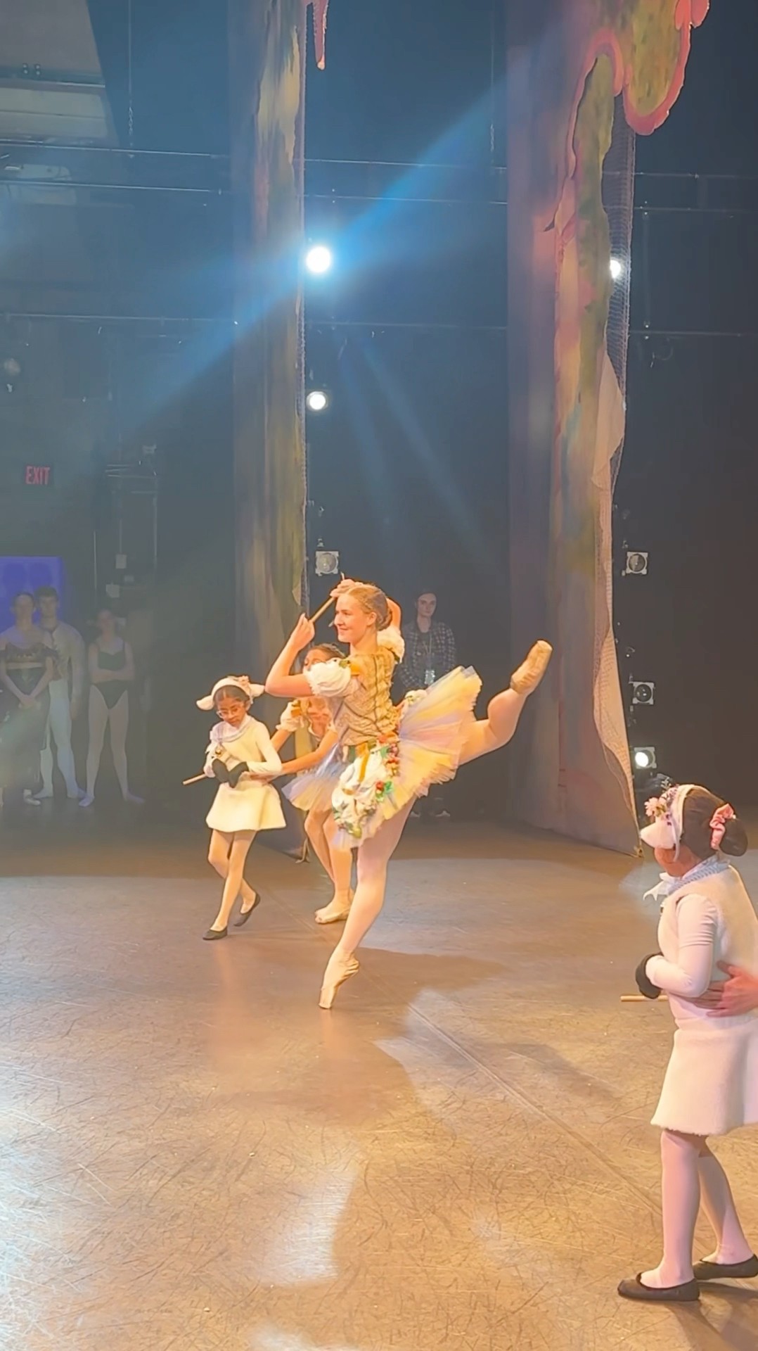 a little Marzipan to brighten your day 🌲🎁        #shorts #nutcracker #ballet #dancer – YouTube
