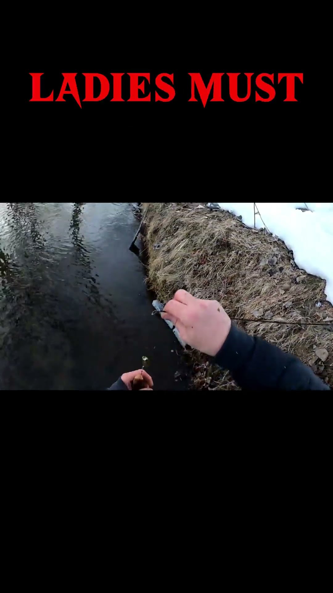 #fishing #shortvideos #shortsvideo #short #shorts – YouTube