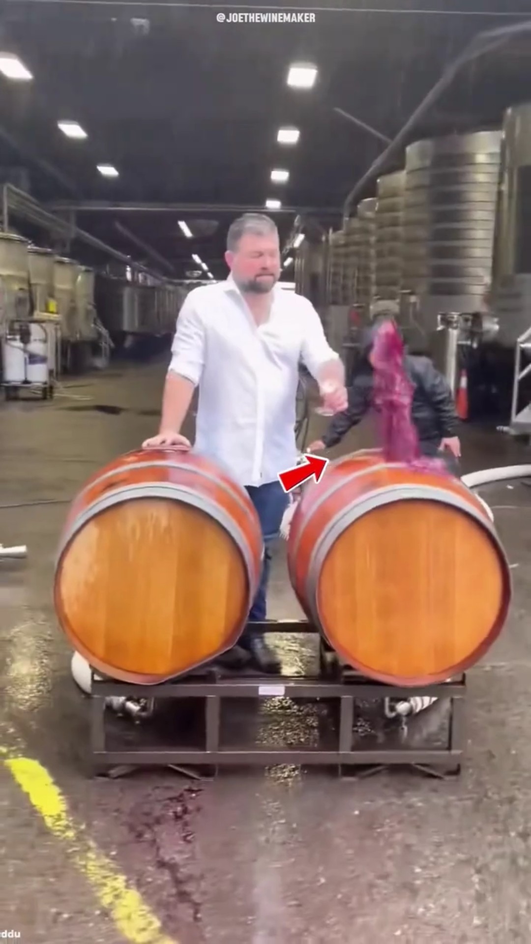 The Weird Secret of This Wine Factory #shorts – YouTube