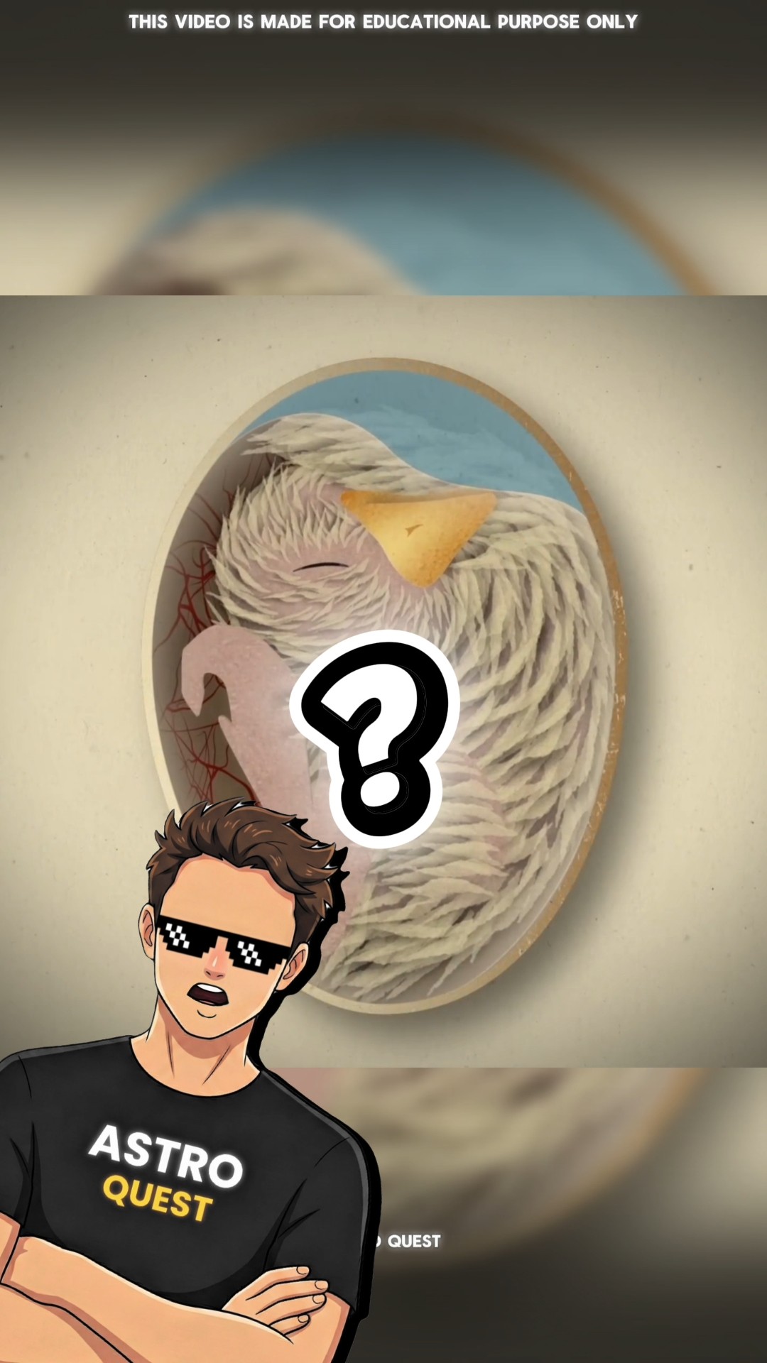 Egg to Chick Transformation! #facts #shorts #viral – YouTube
