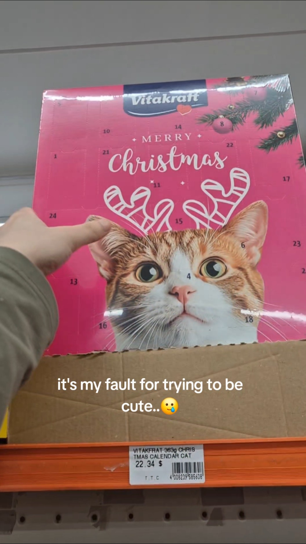 Cat Christmas Advent Calendar GONE WRONG🥲 #shorts – YouTube